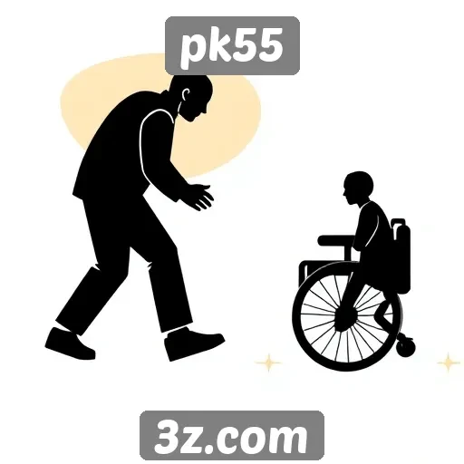 Acessibilidade e design do site pk55 em análise